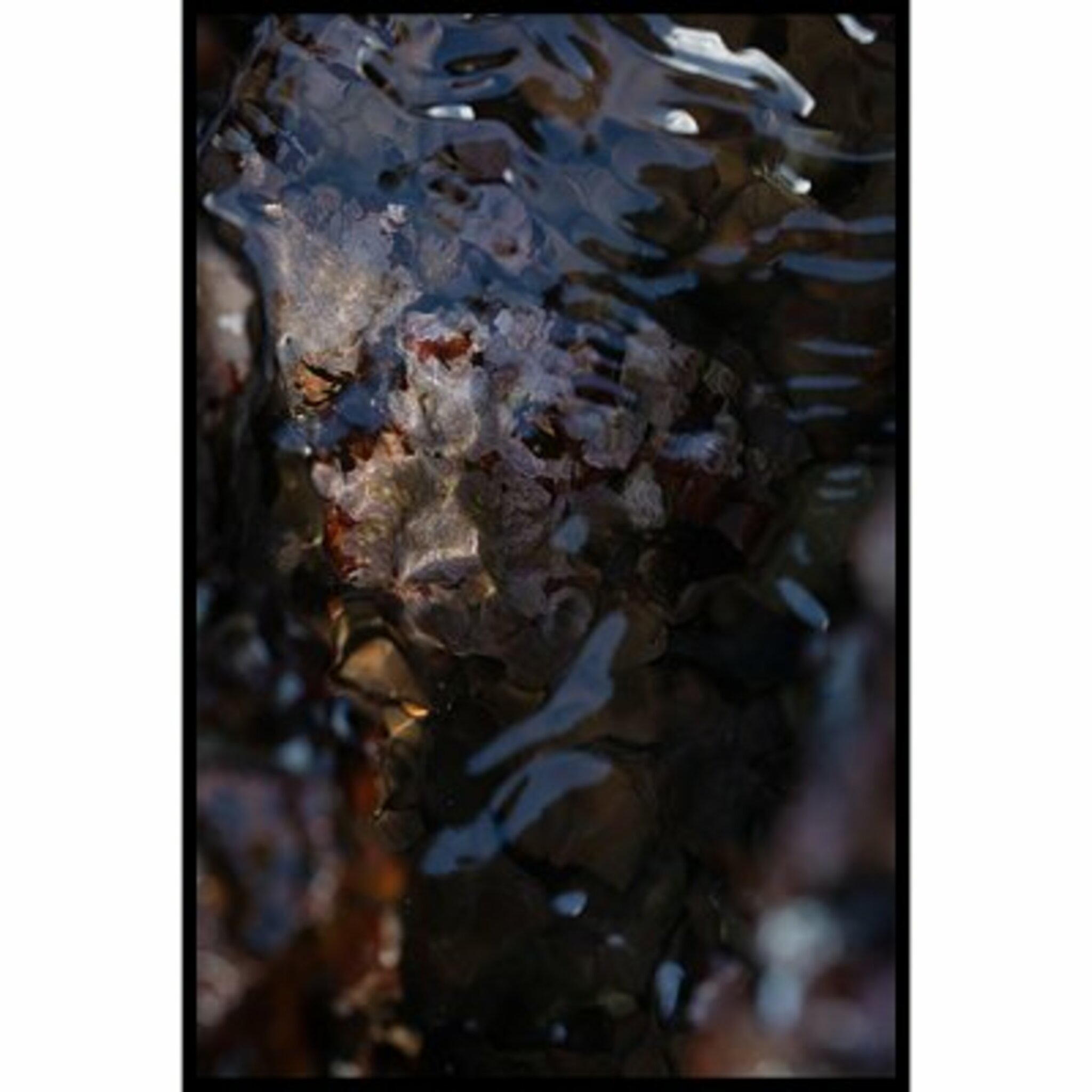 Flow I Poster