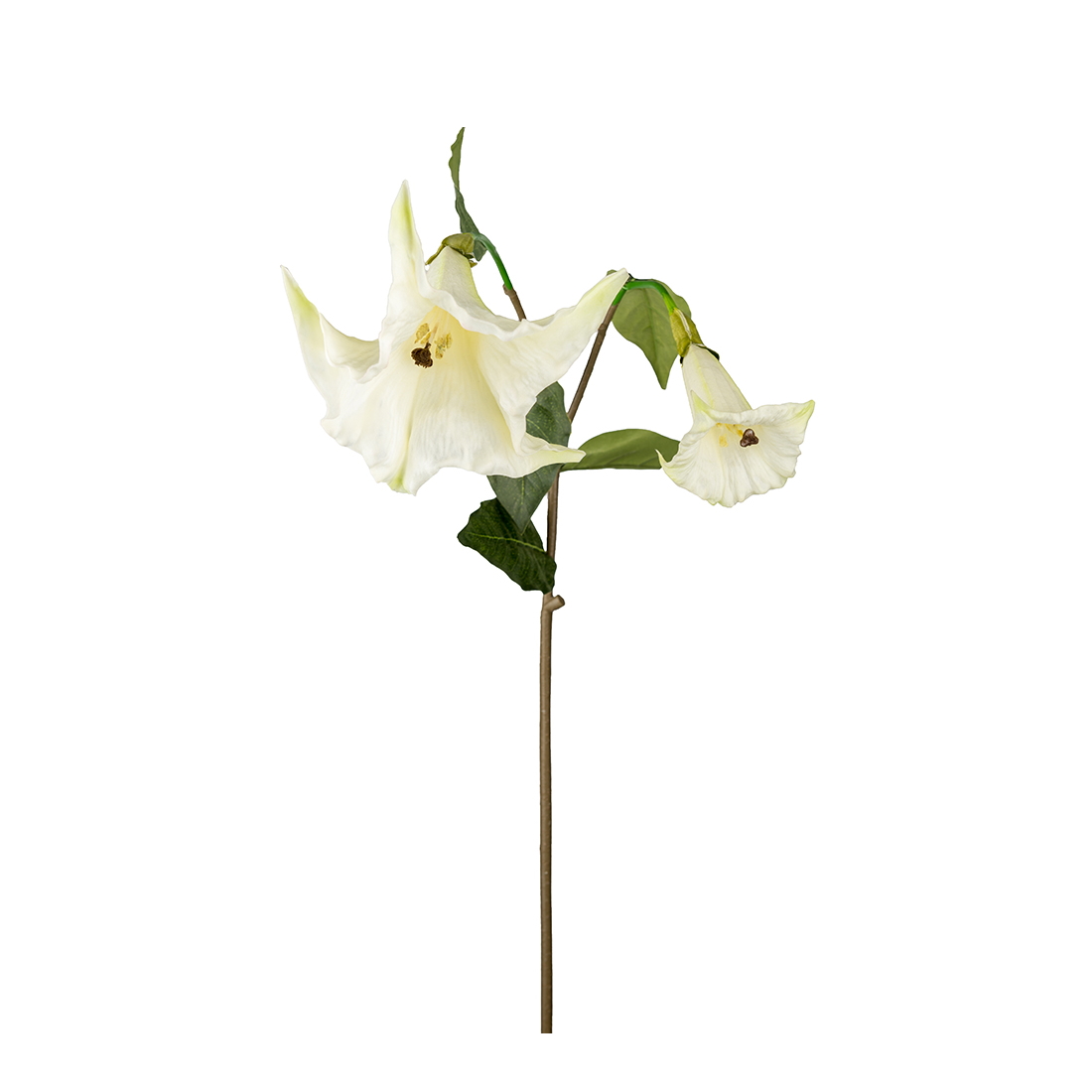 Konstväxt Änglatrumpet 90 cm vit