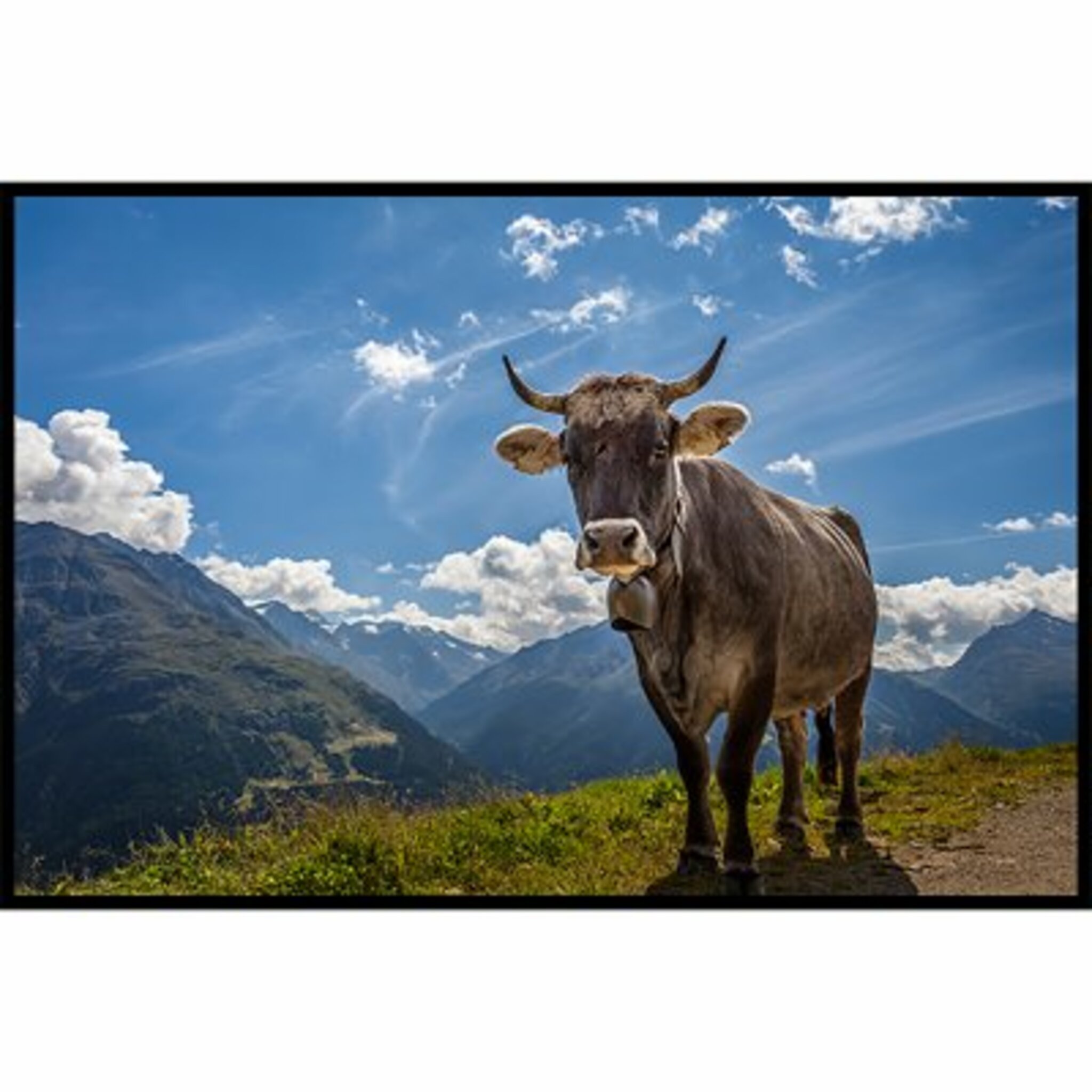 Tyrolienne Cow Poster