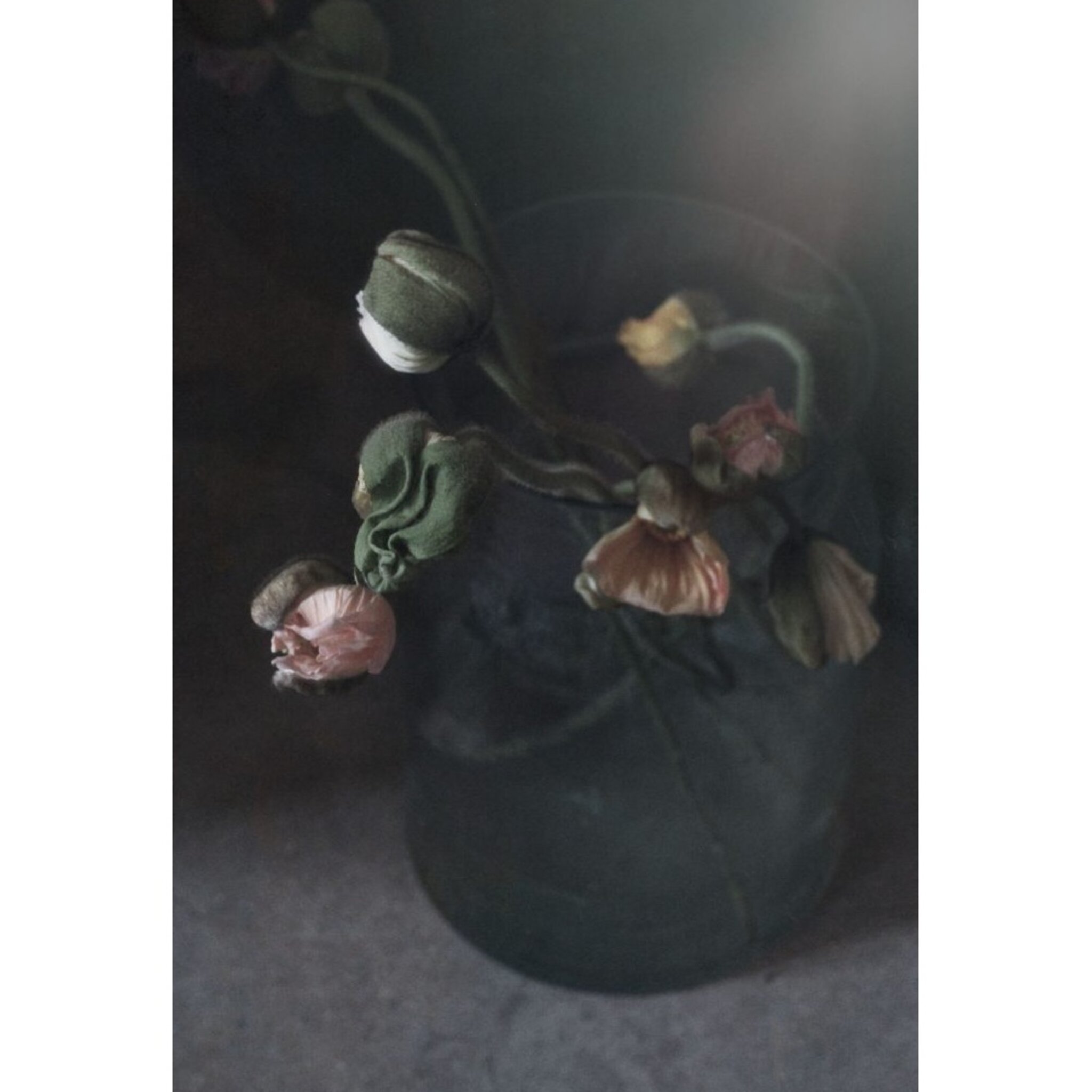 Komorebi – Poppy in petrolium vase Poster