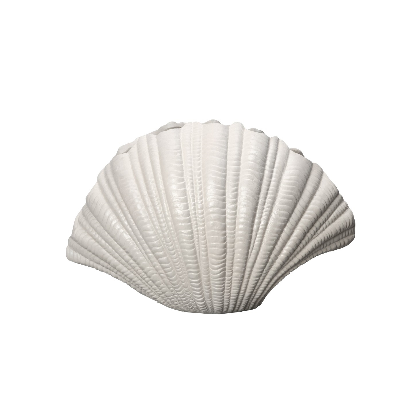 Snäckvas VAS SHELL, ByON