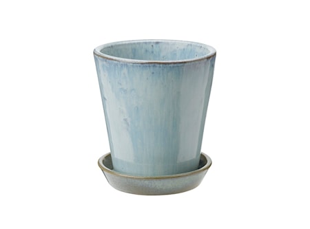 Odlingskruka Soft Mynta 11 cm