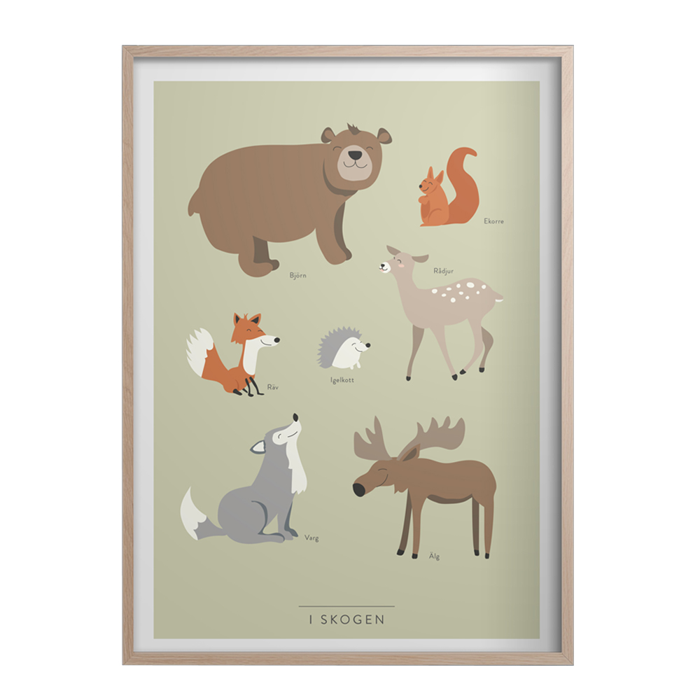 Kunskapstavlan - Poster 50x70 cm I skogen