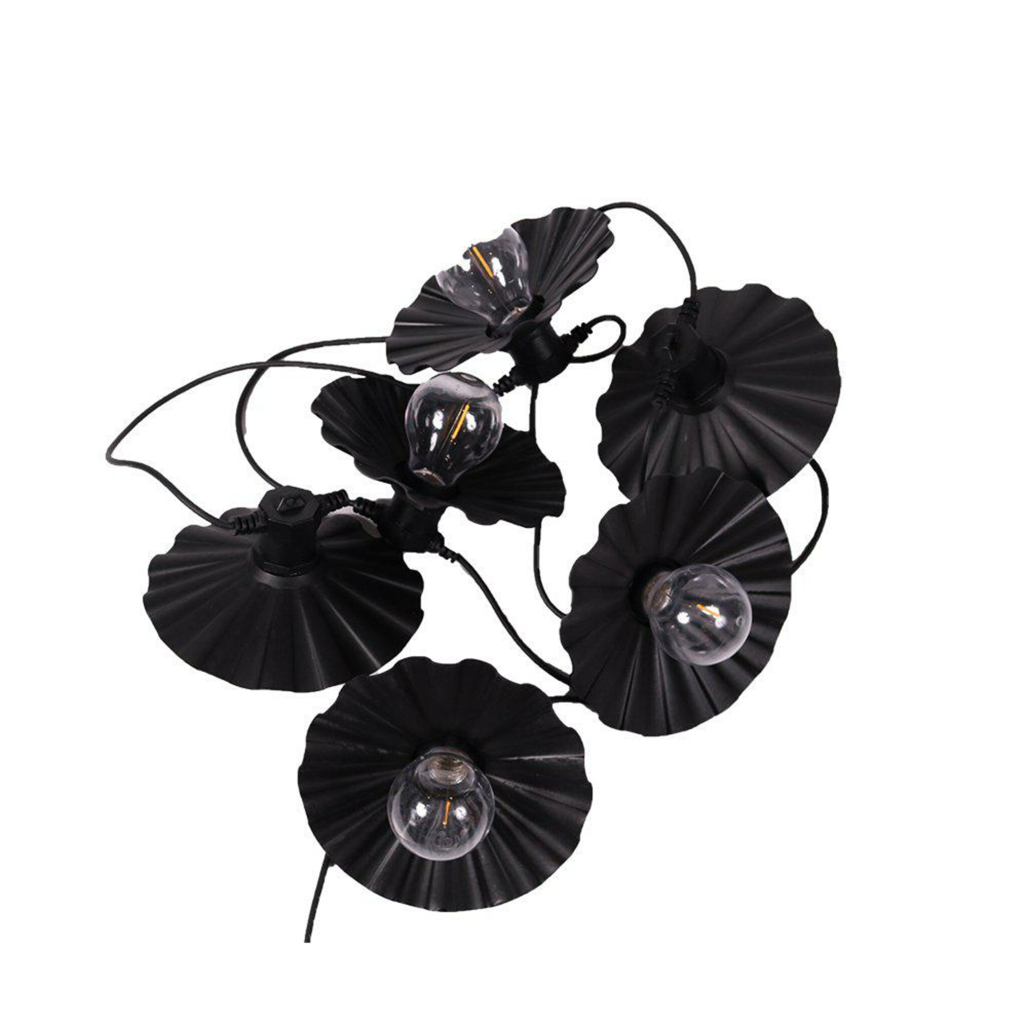 Daisy Light String 160 cm