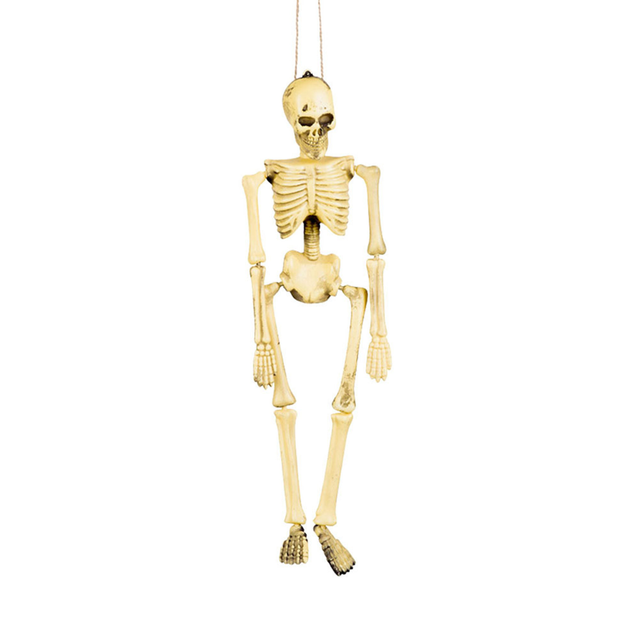 Props, skelett 40 cm Halloween