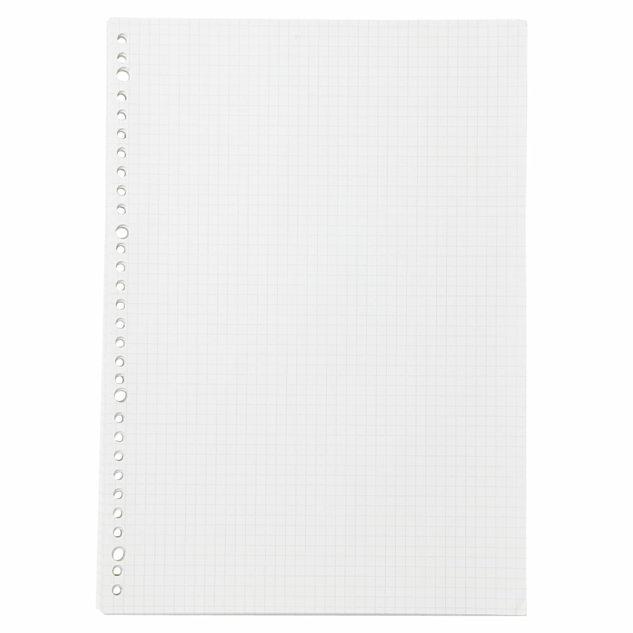 Loose Leaf Graph Paper - A4