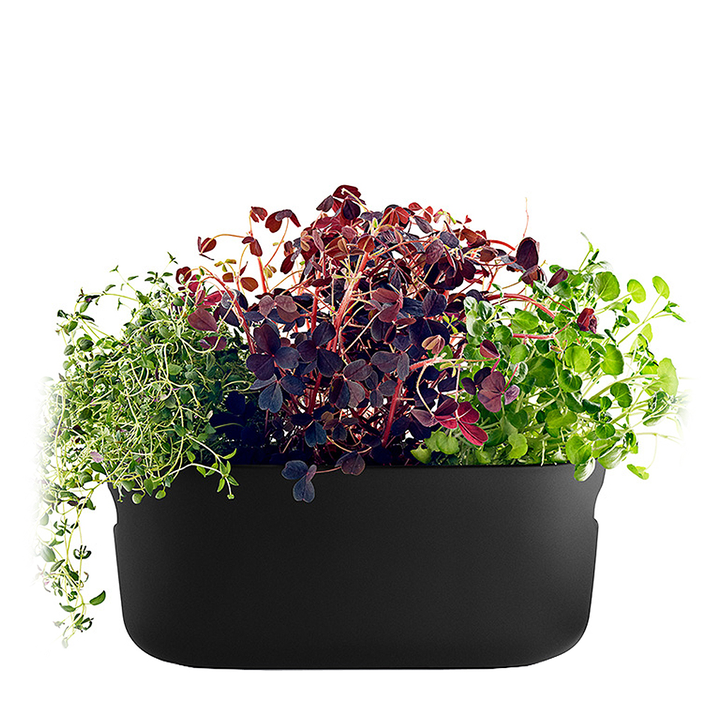 Eva Solo - Herb Organiser Örtkruka Självvattnande Svart
