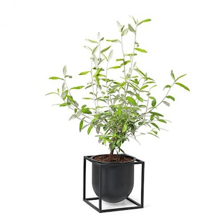 Kubus Blomkruka 14 Svart
