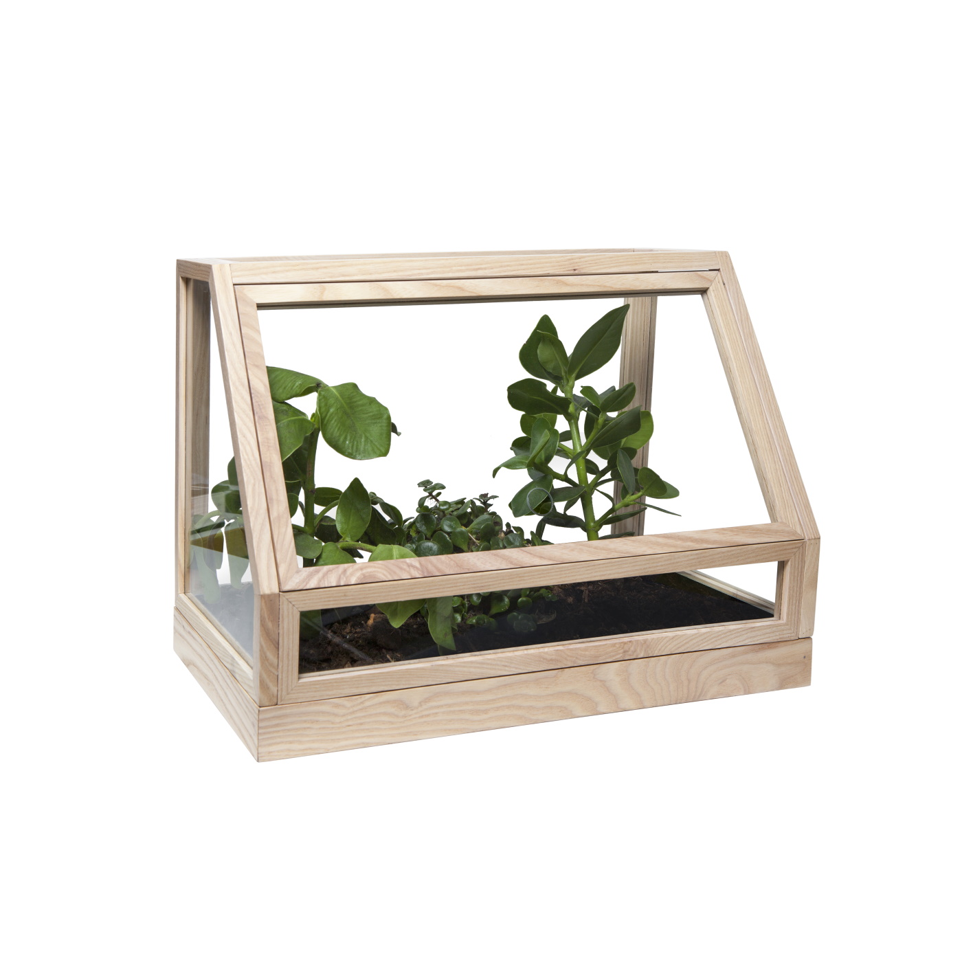 Green house mini Miniväxthus ask, Design House