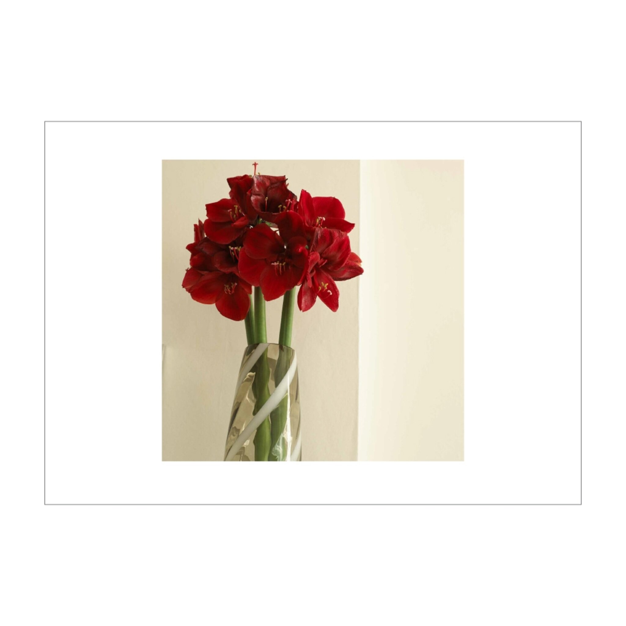 Red Flower