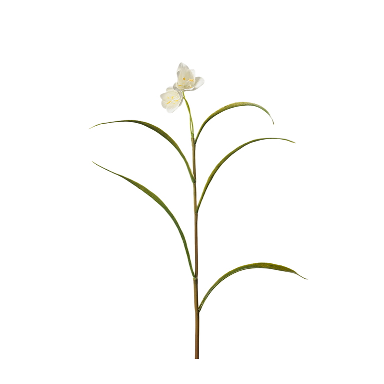 Konstväxt Klocklilja 30 cm vit
