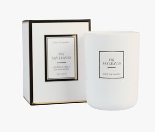 Fig bay leaves matt doftljus vit