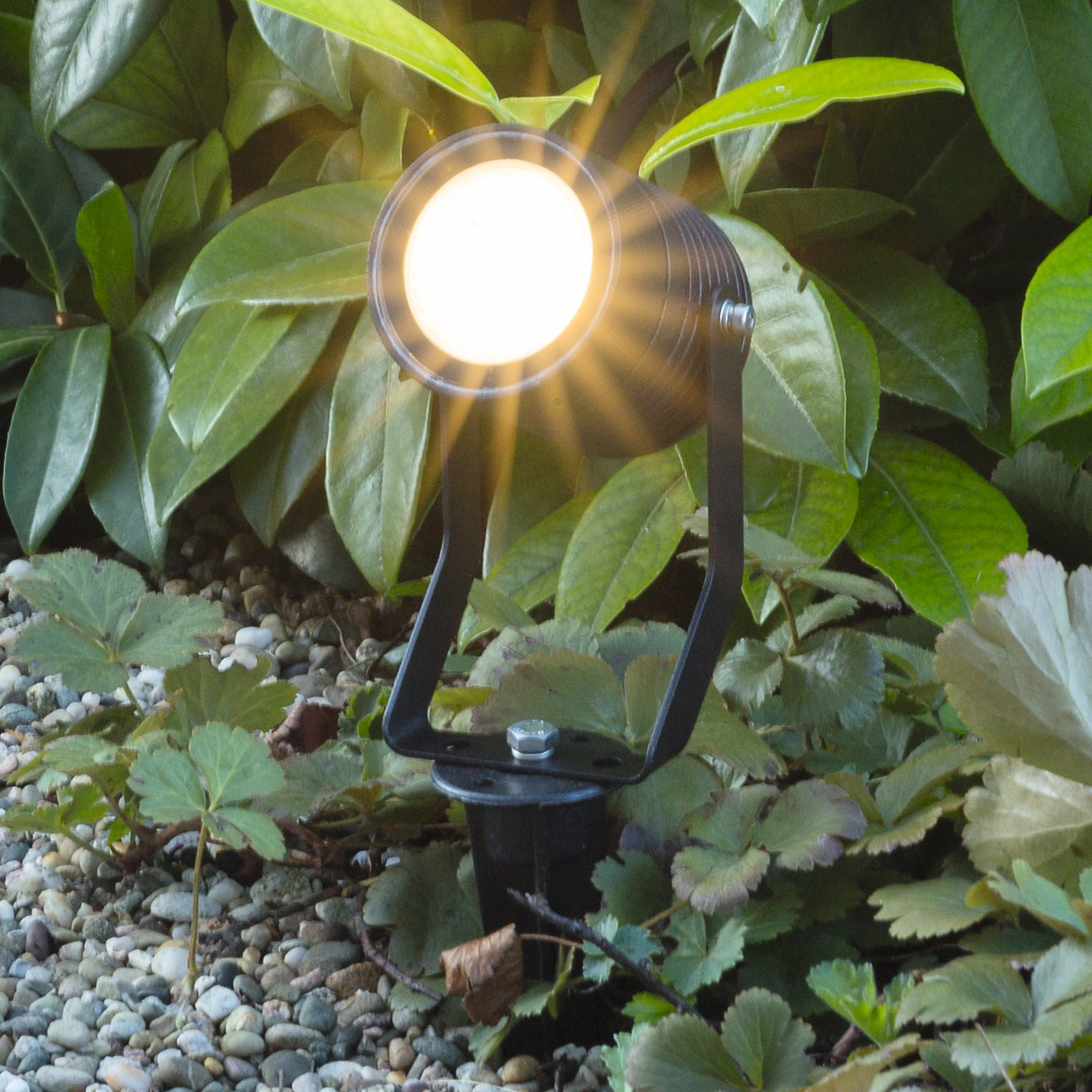 LED-markspettspotlight Pasas svängbar