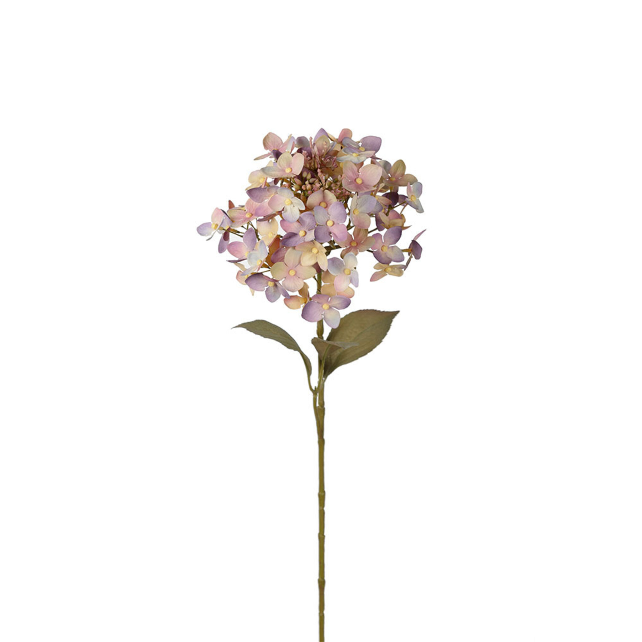 Hortensia, 65 CM
