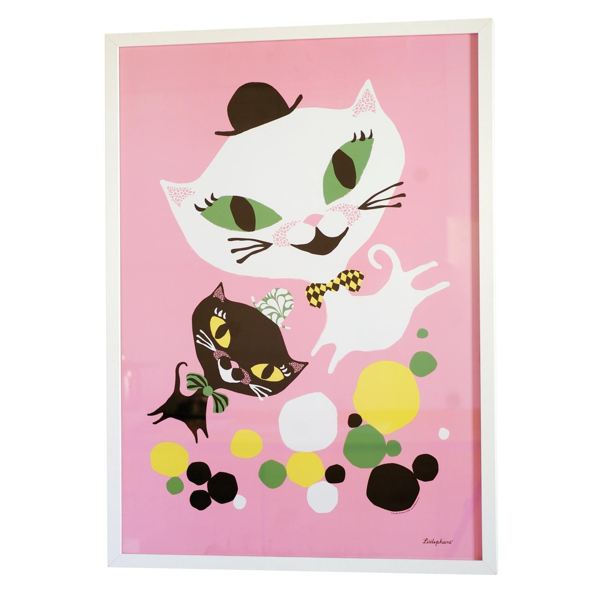 Affisch Cat Fun 50x70 cm