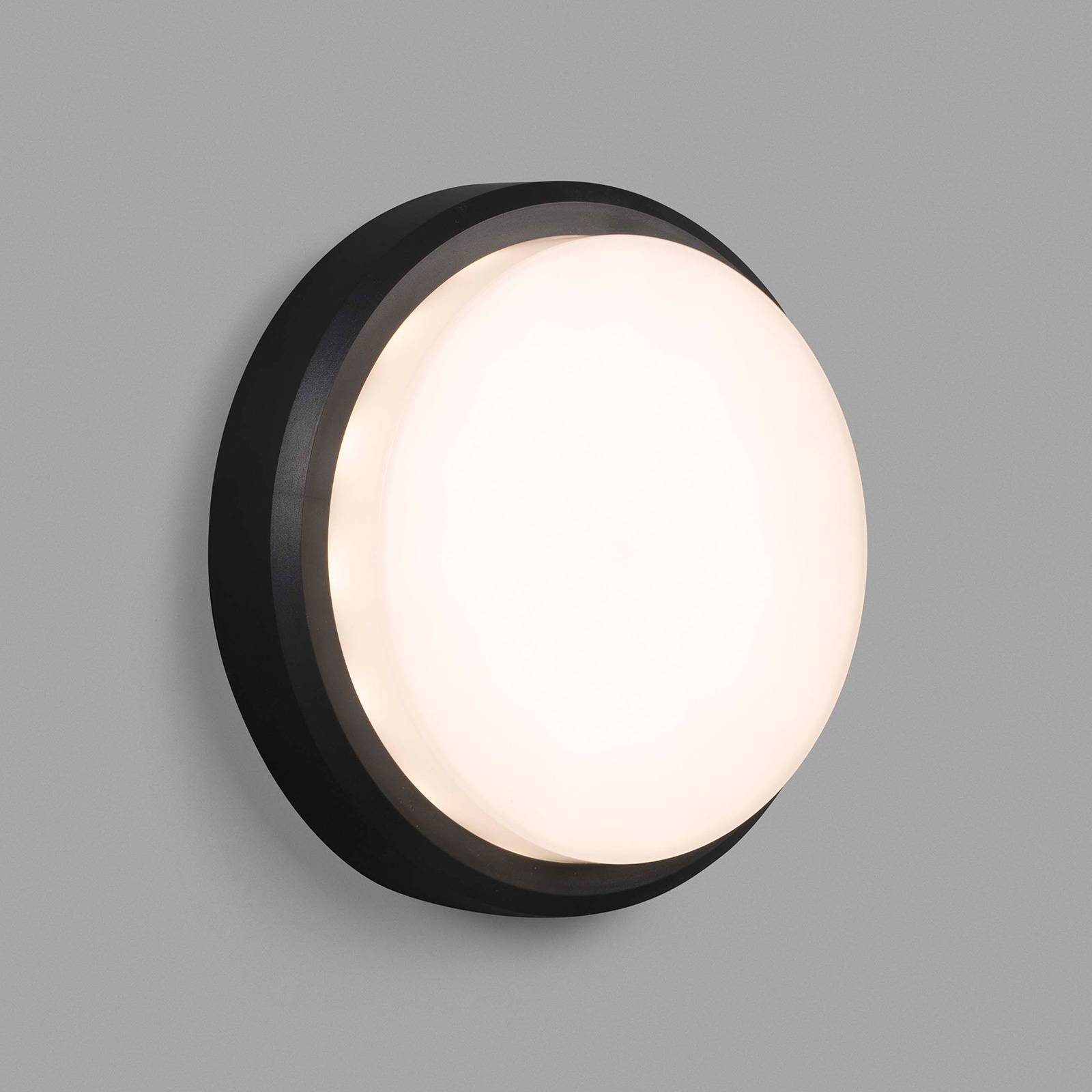 LED-utomhusvägglampa Tom XL, IK10, mörkgrå/vit