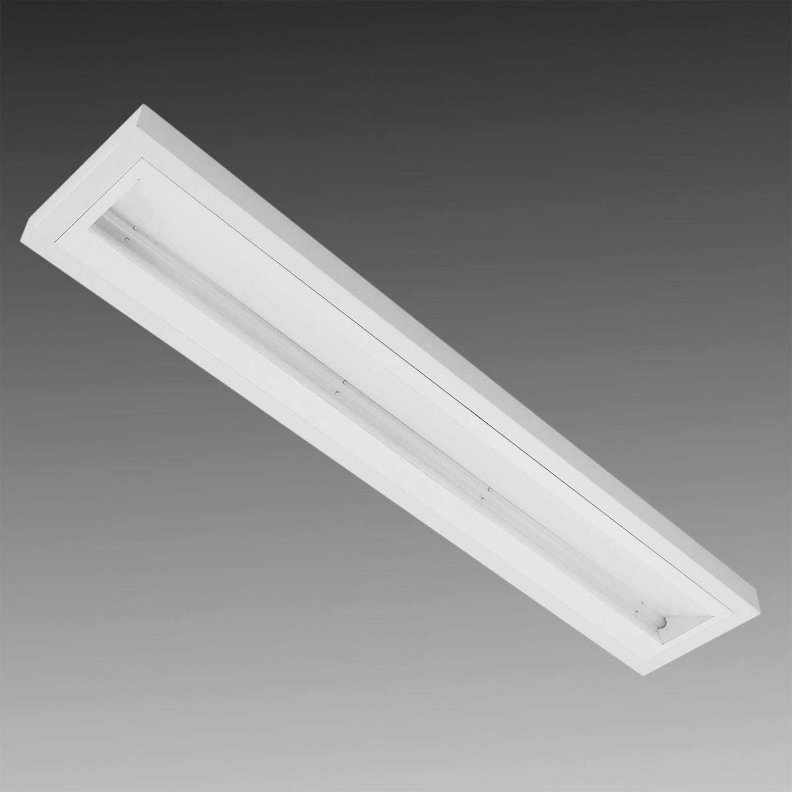 Utanpåliggande lampa med LED asymmetrisk, vit 50 W