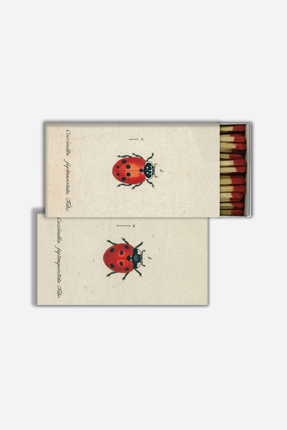 Tändsticksask Little ladybug 50 st