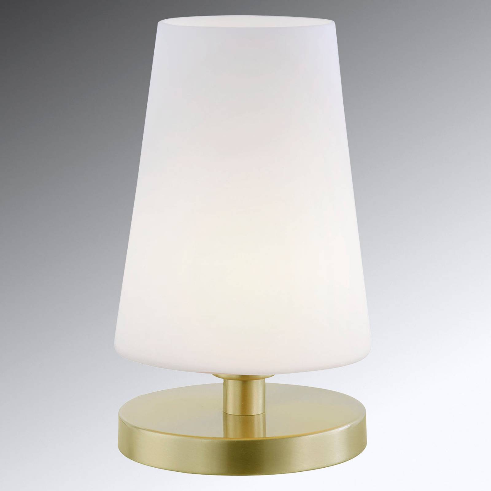 Dimbar LED-bordslampa Sonja med glasskärm