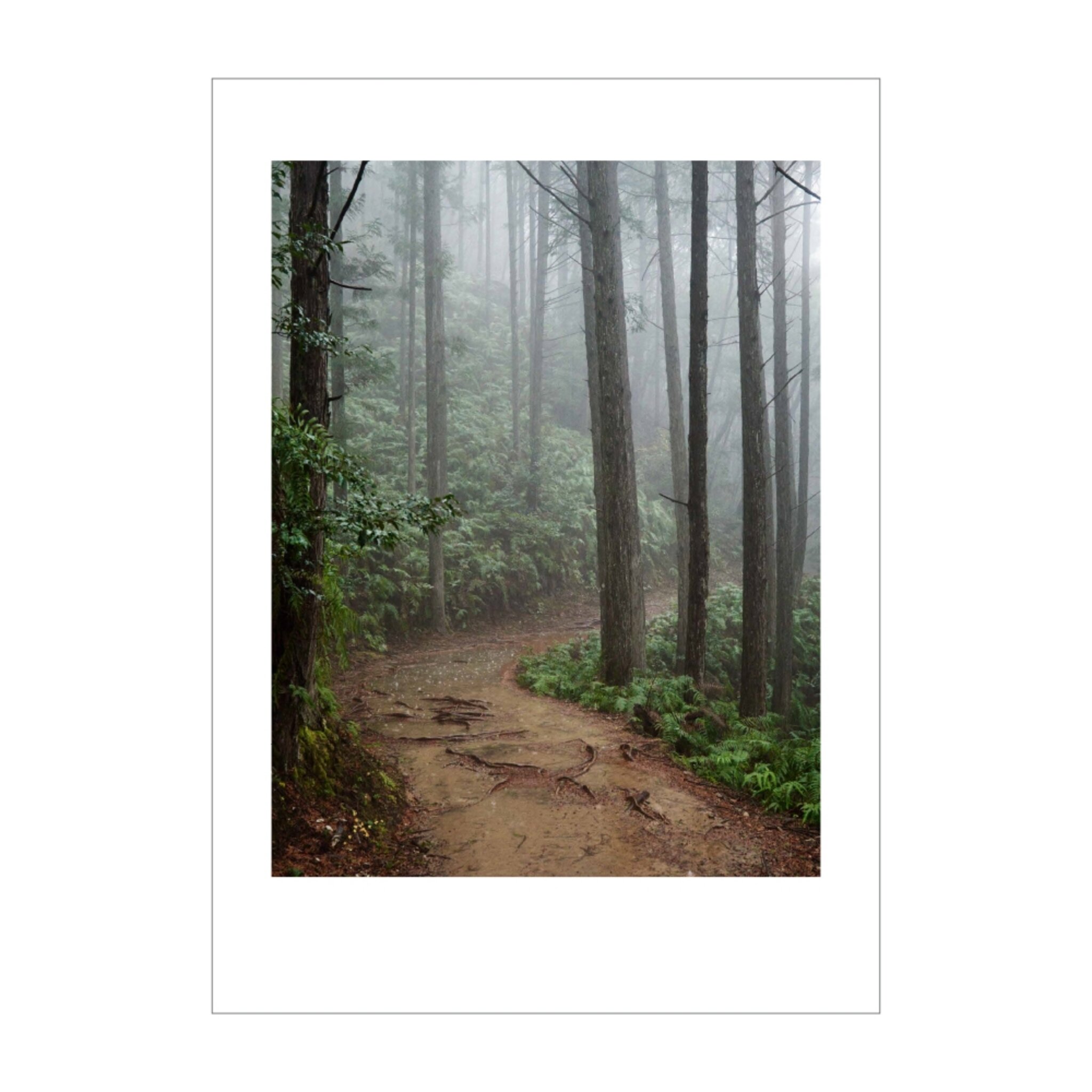 The Walk #6