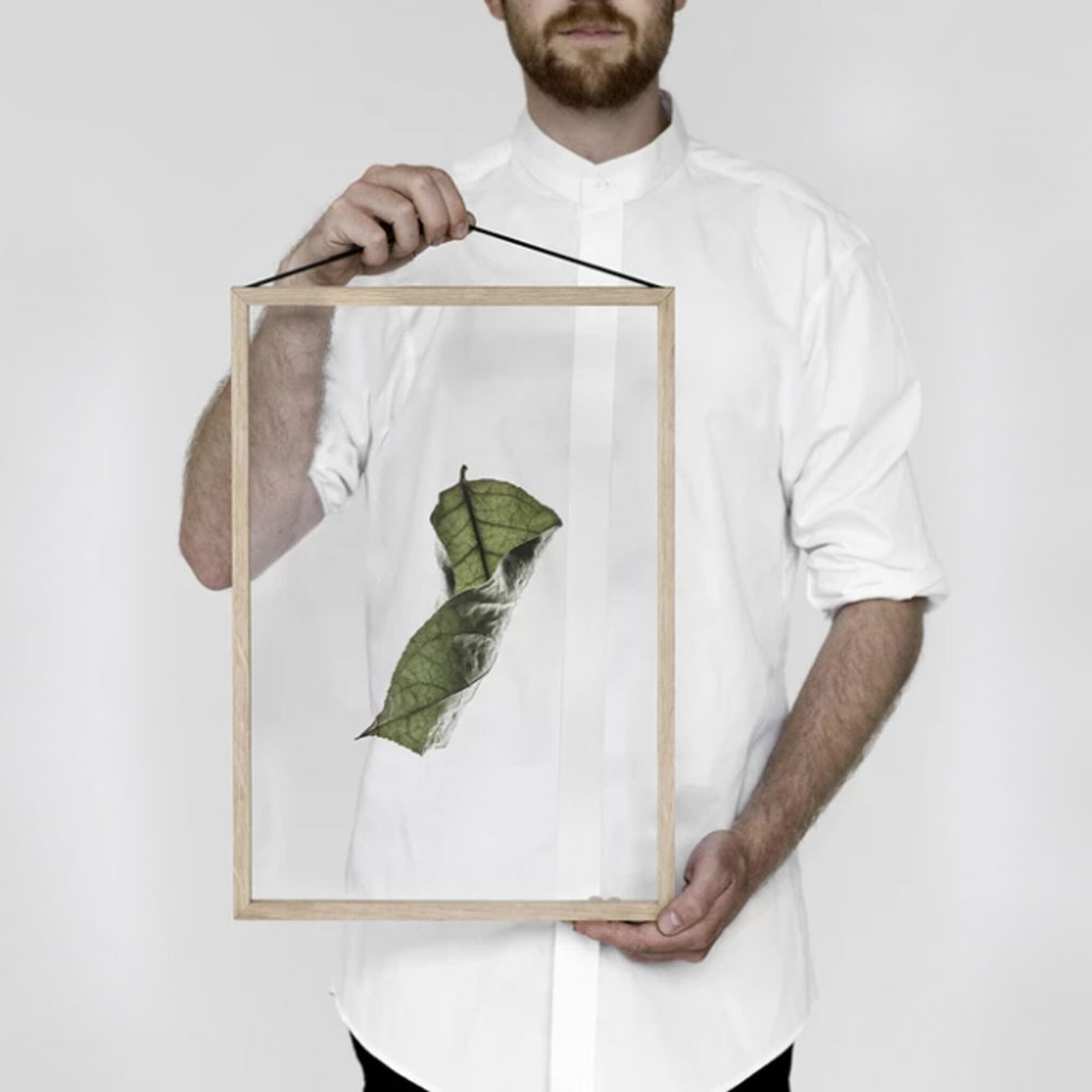 Print Floating Leaves No.4, A3, A3