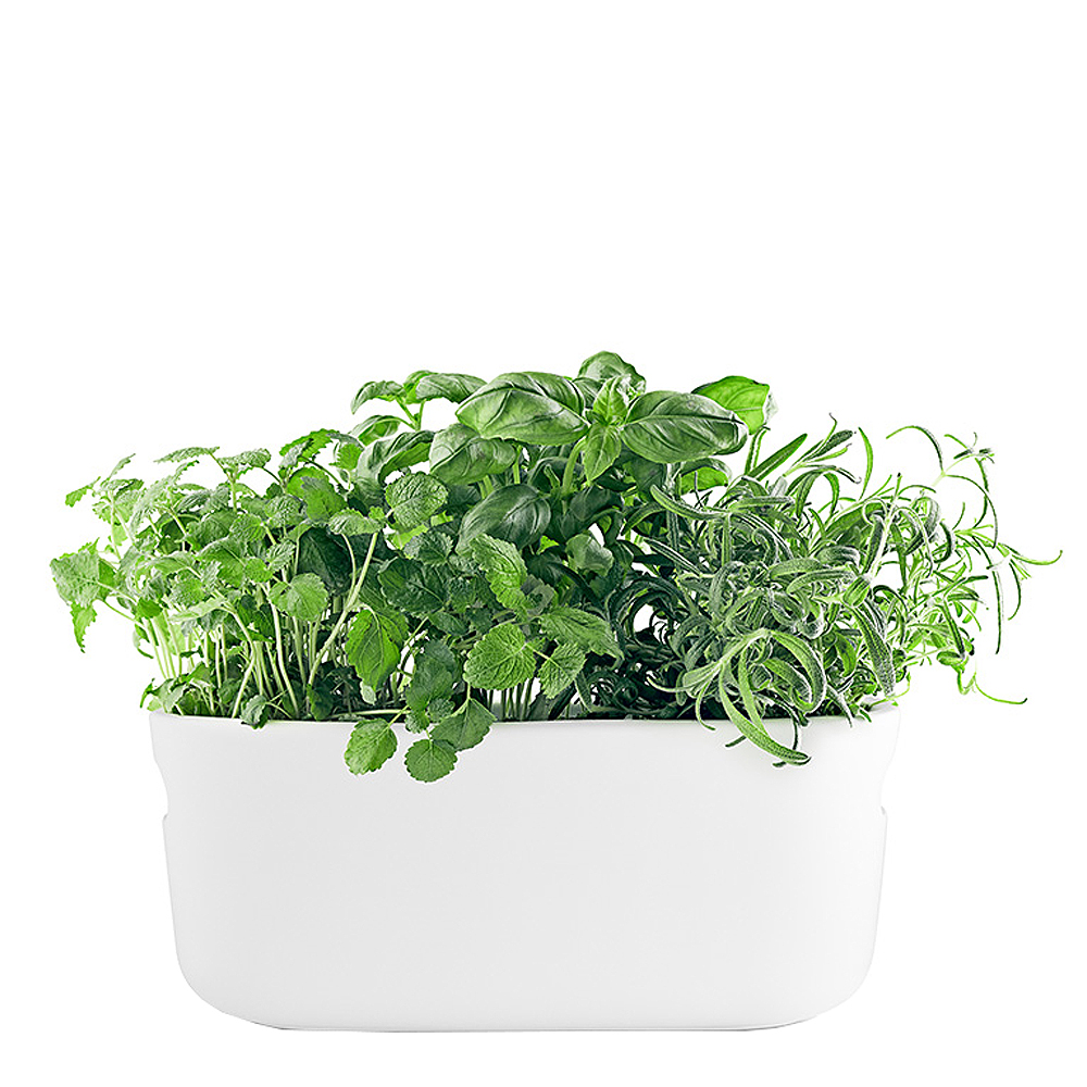 Eva Solo - Herb Organiser Örtkruka Självvattnande Vit