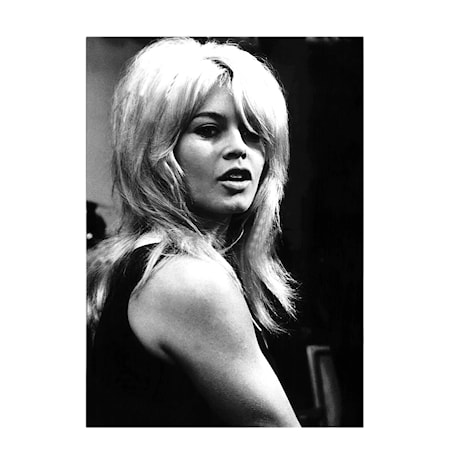 Bardot Wall Deco 100x150
