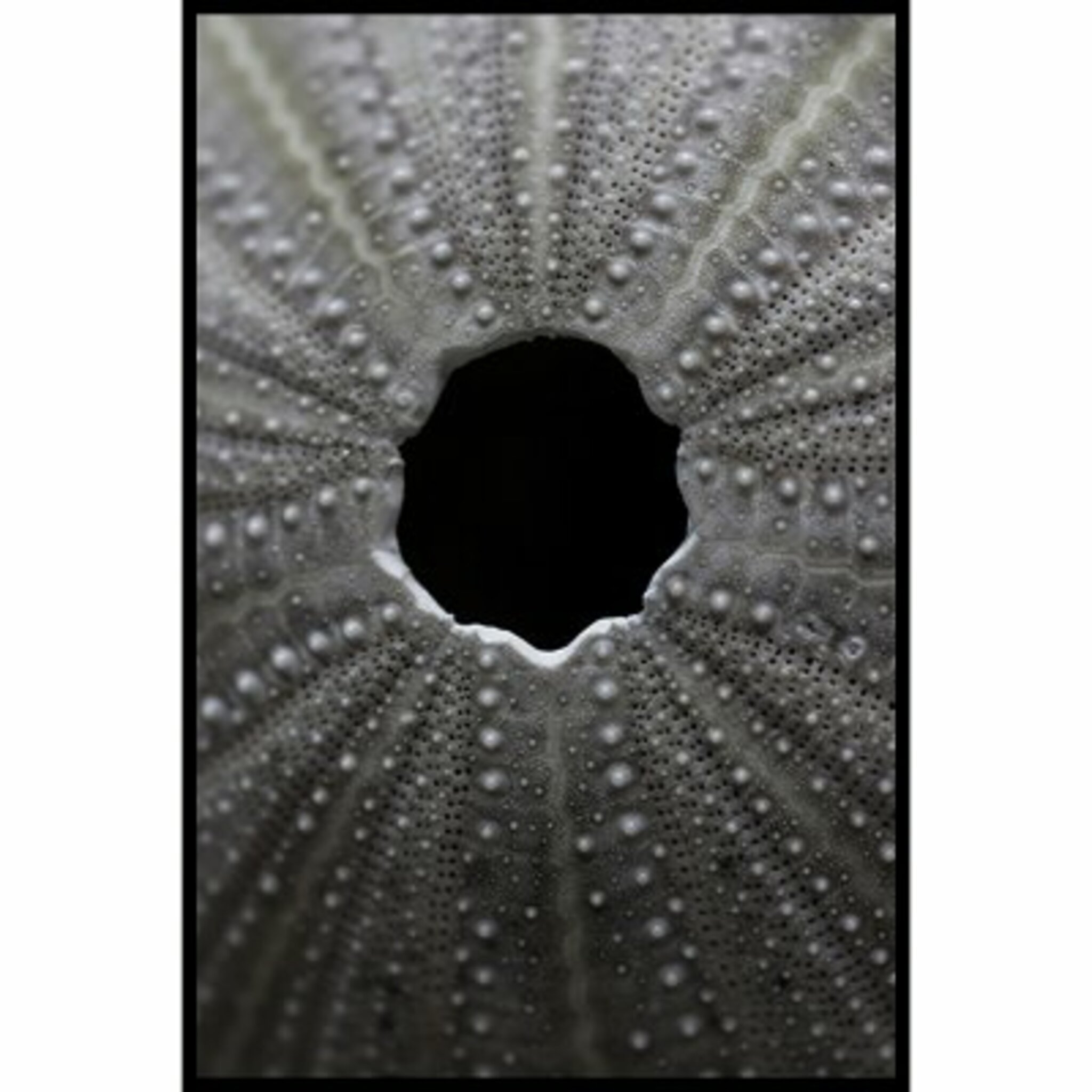 Hole Poster