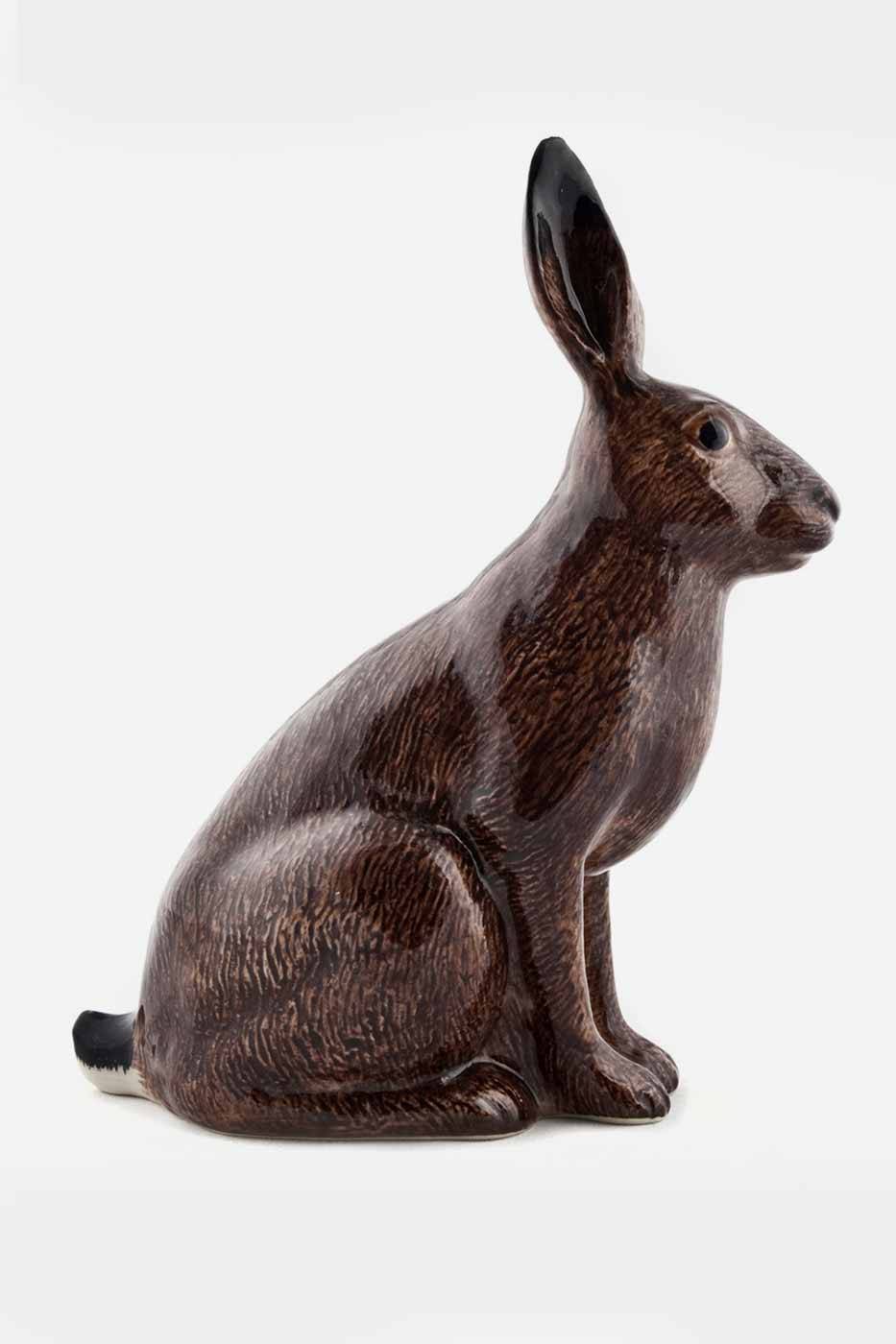 Sparbössa hare