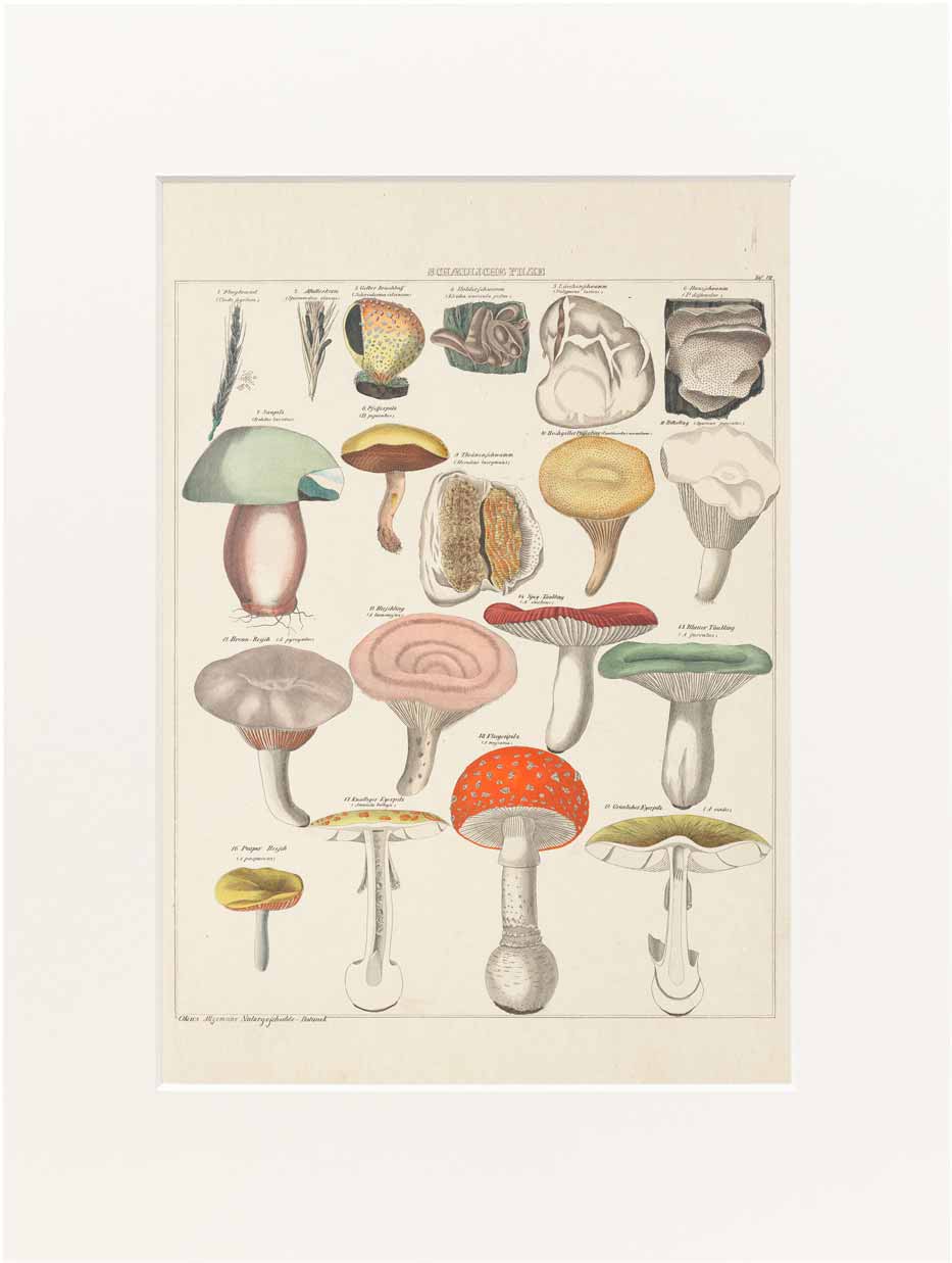 Print Oken 30x40 cm #008