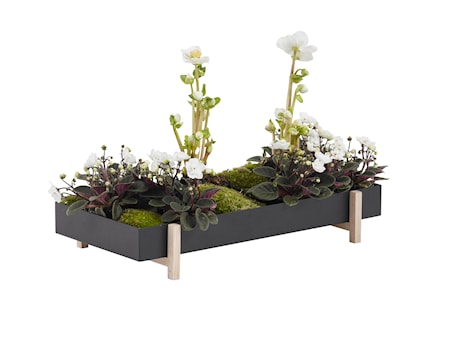 Botanic Blommlåda