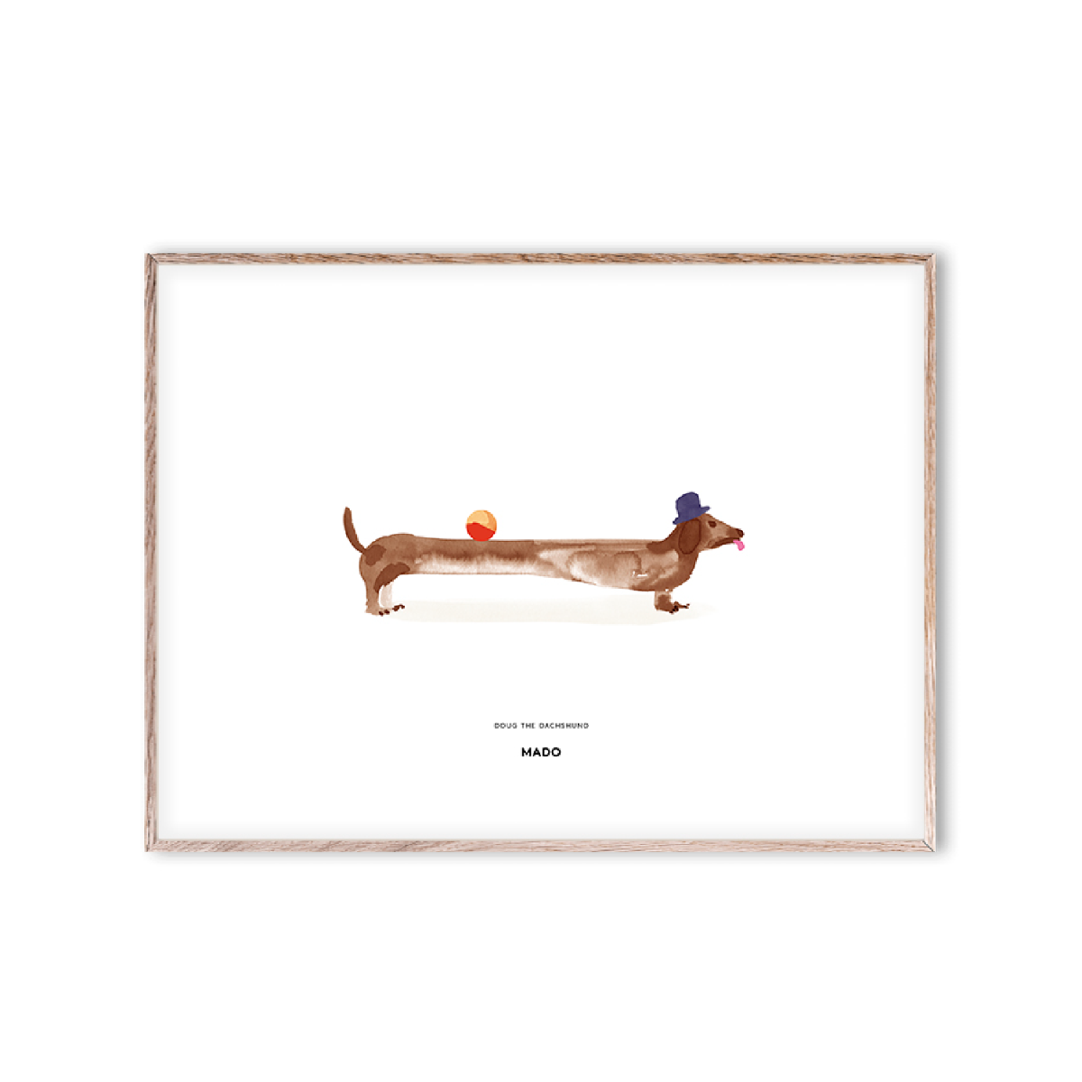 MADO Poster Doug the Dachshund 30x40 cm