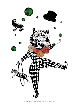 Harry Berry Poster 50x70 cm