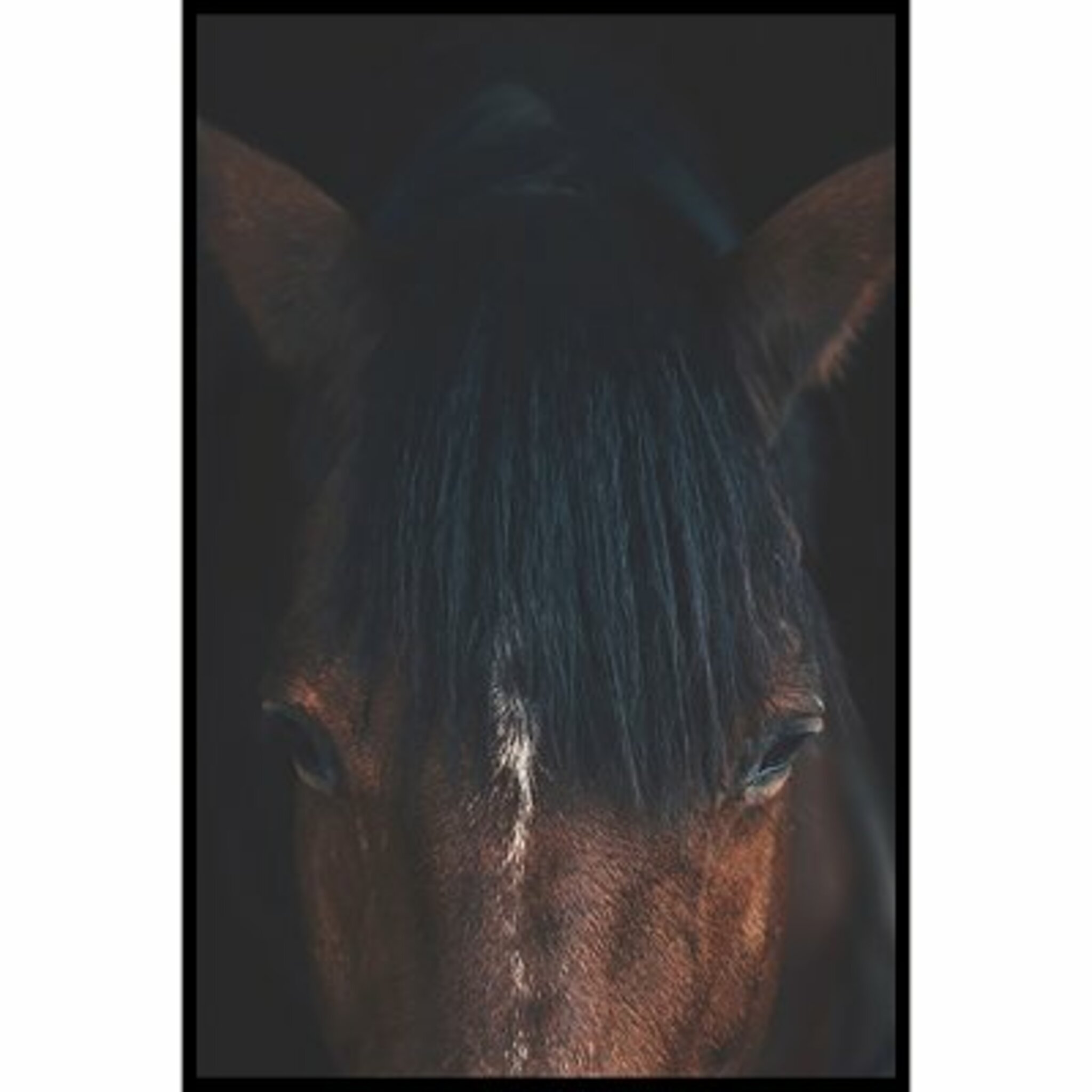 Cheyenne Poster