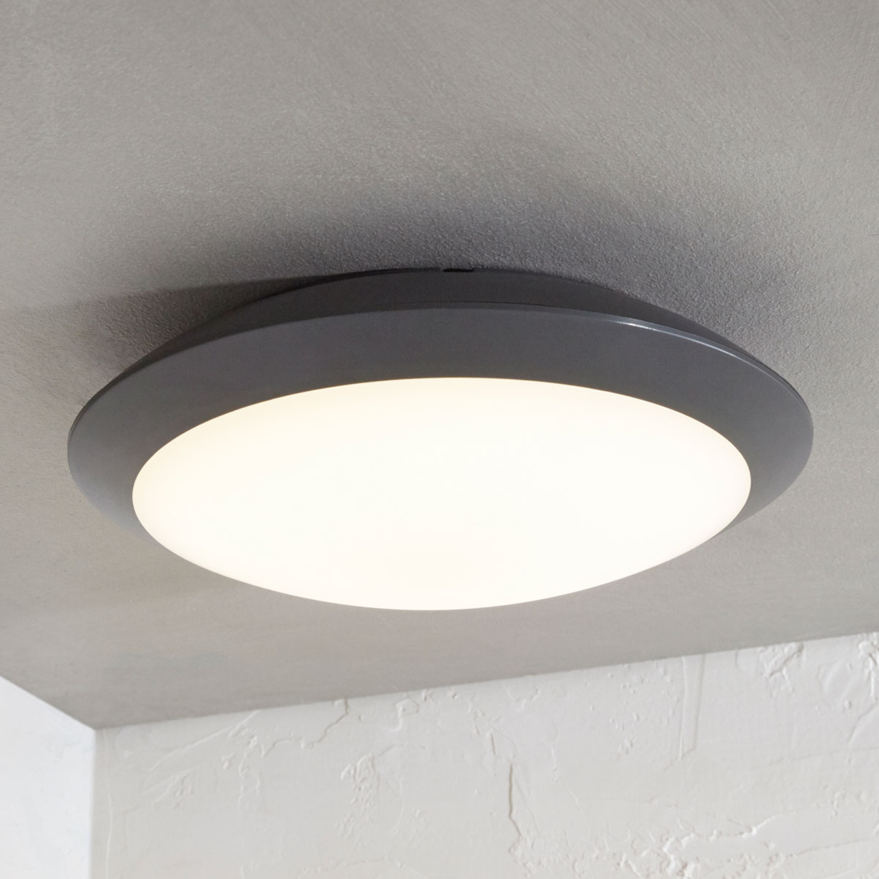 LED-utomhustaklampa Naira, grå, utan sensor