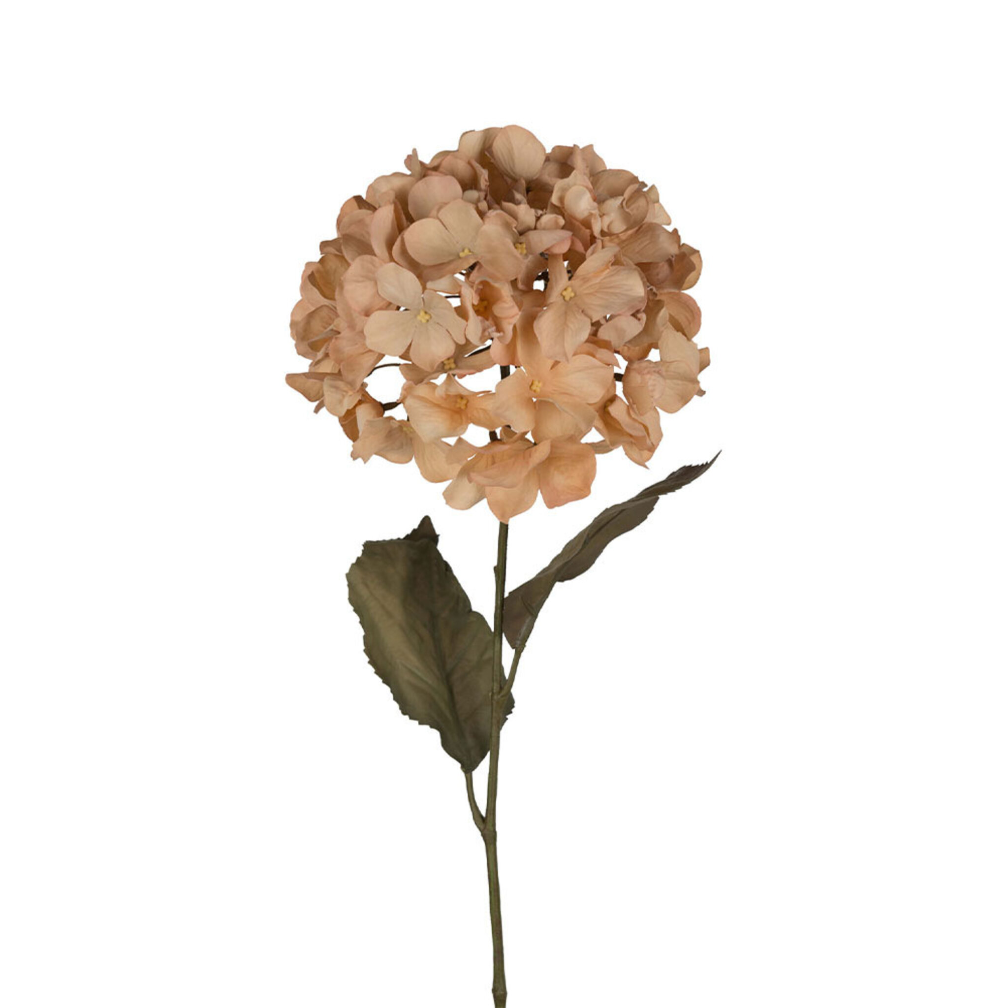 Hortensia konstväxt, 70