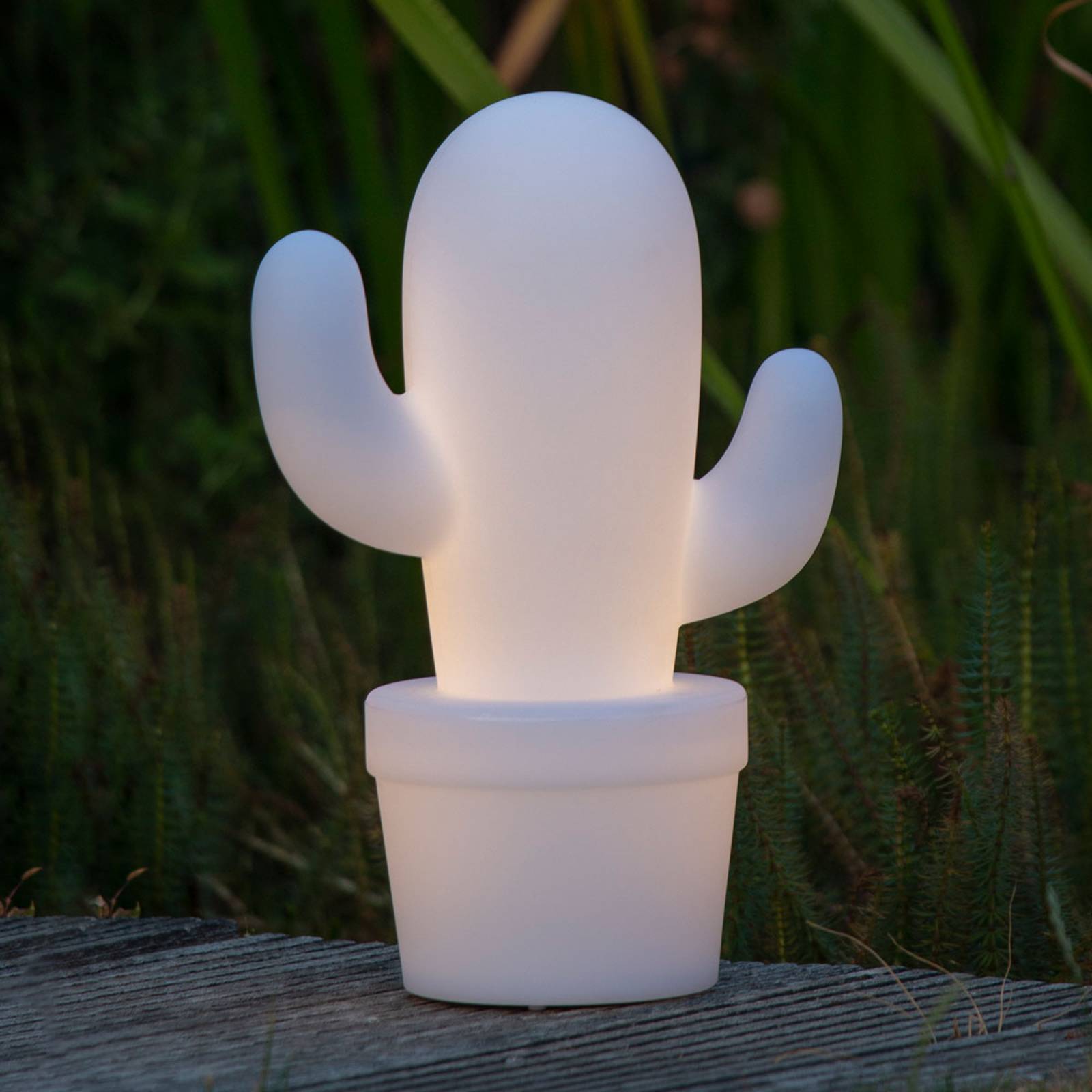 LED-dekorationslampa Cactus IP44