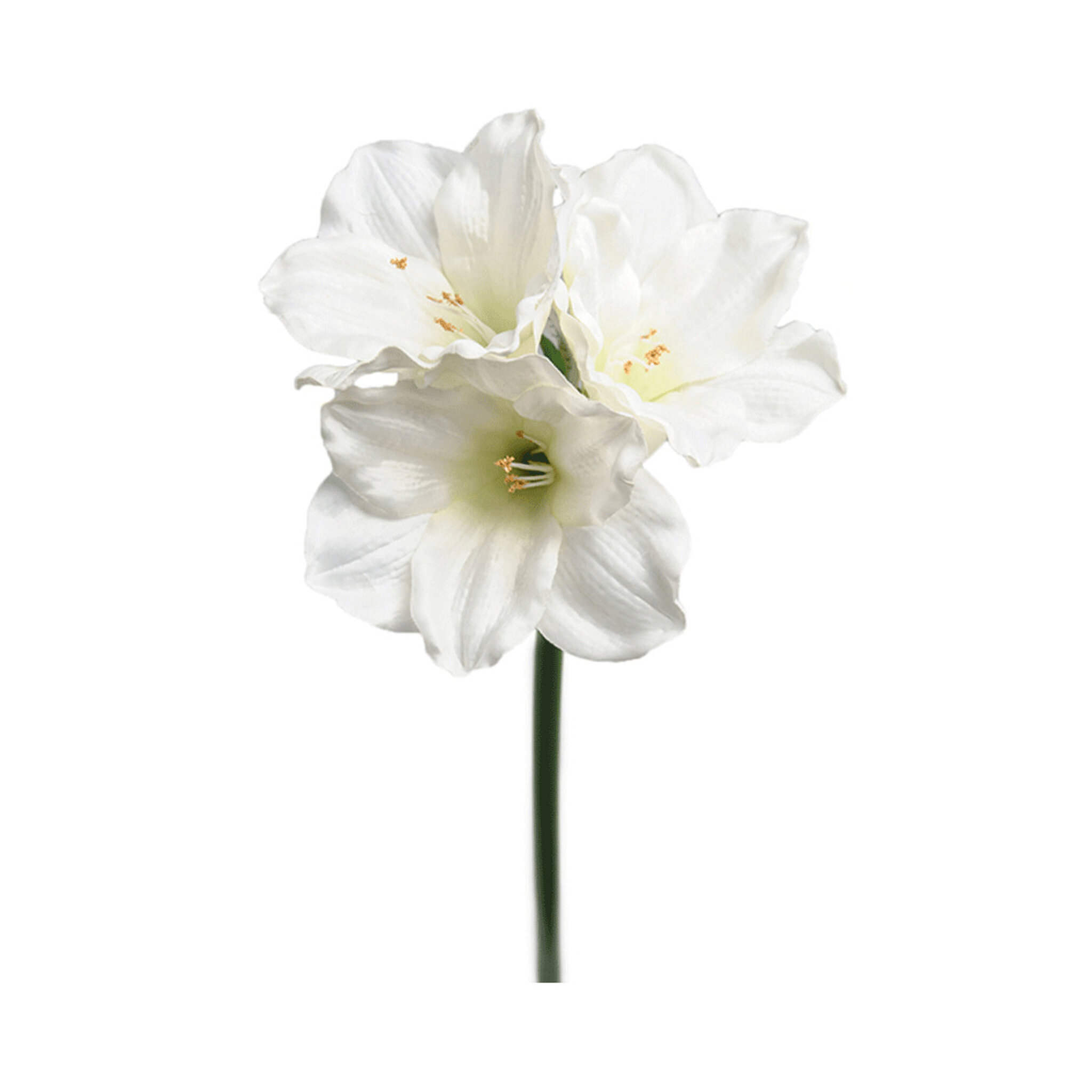 Konstväxt Amaryllis 65 cm, 65CM