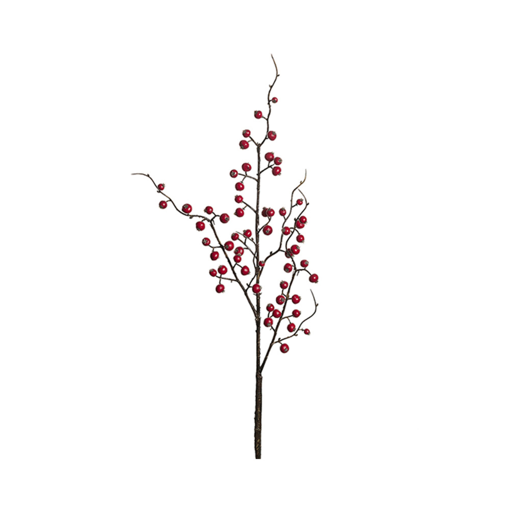 Konstväxt Bärkvist 75 cm