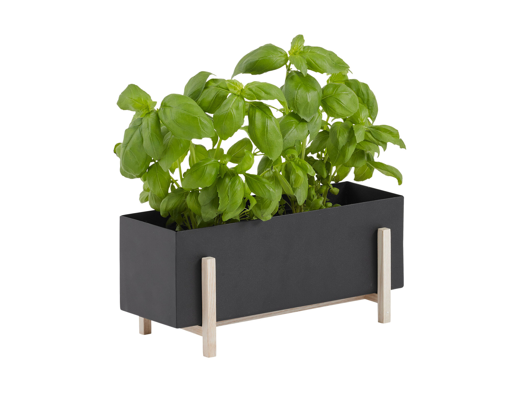 Blomkruka - Botanic herb box, 30x13x12