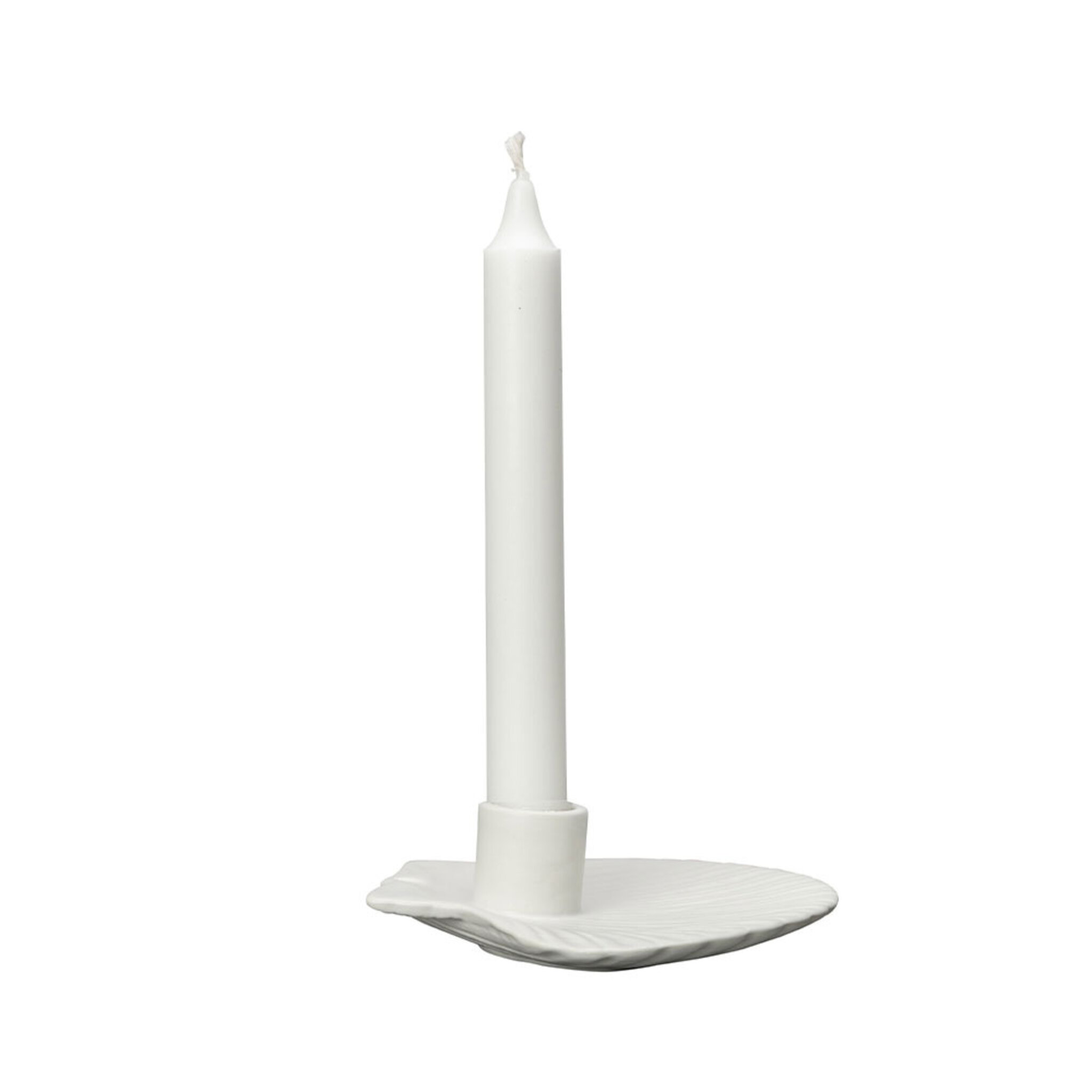 Candle Holder Shell S