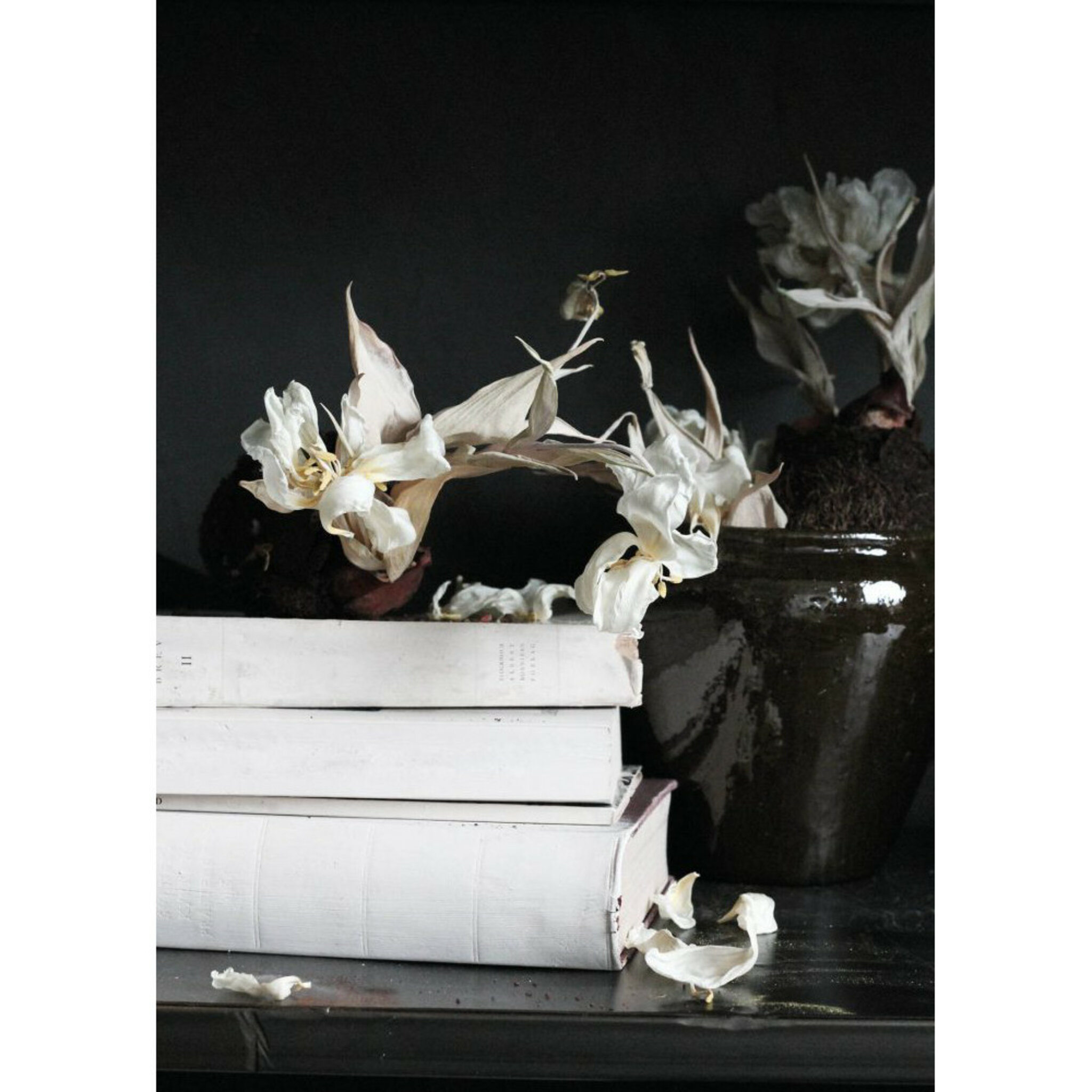 Book Poster