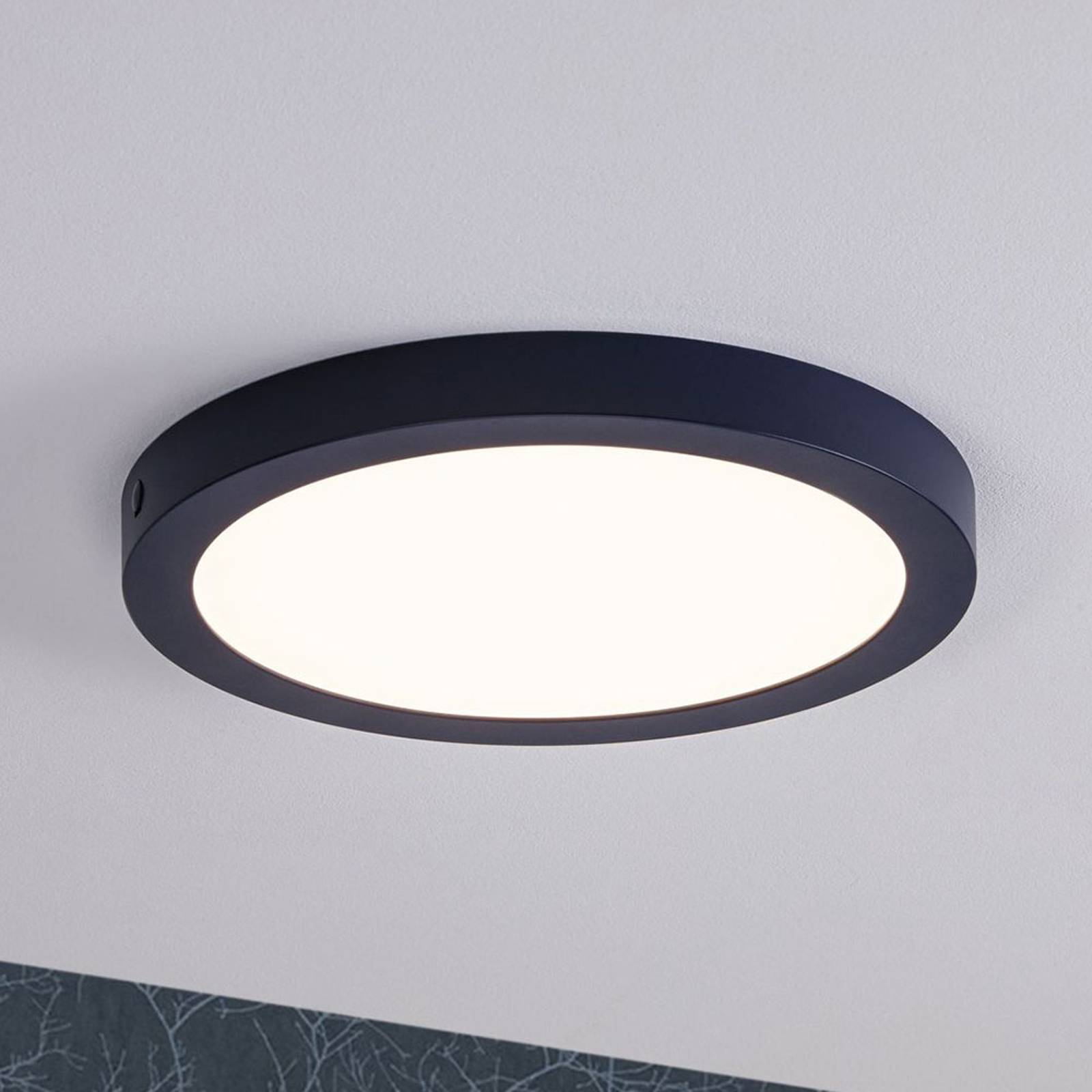Paulmann LED-panel Abia, rund Ø 30 cm, nattblå
