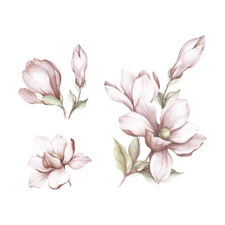 Väggdekoration Magnolia Flower Rose