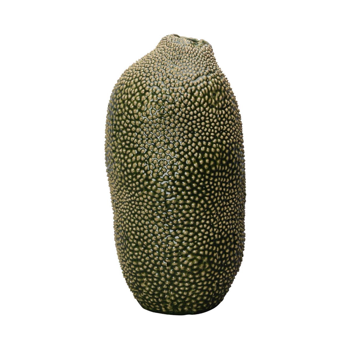 Vas Caulerpa stor grön, ByON