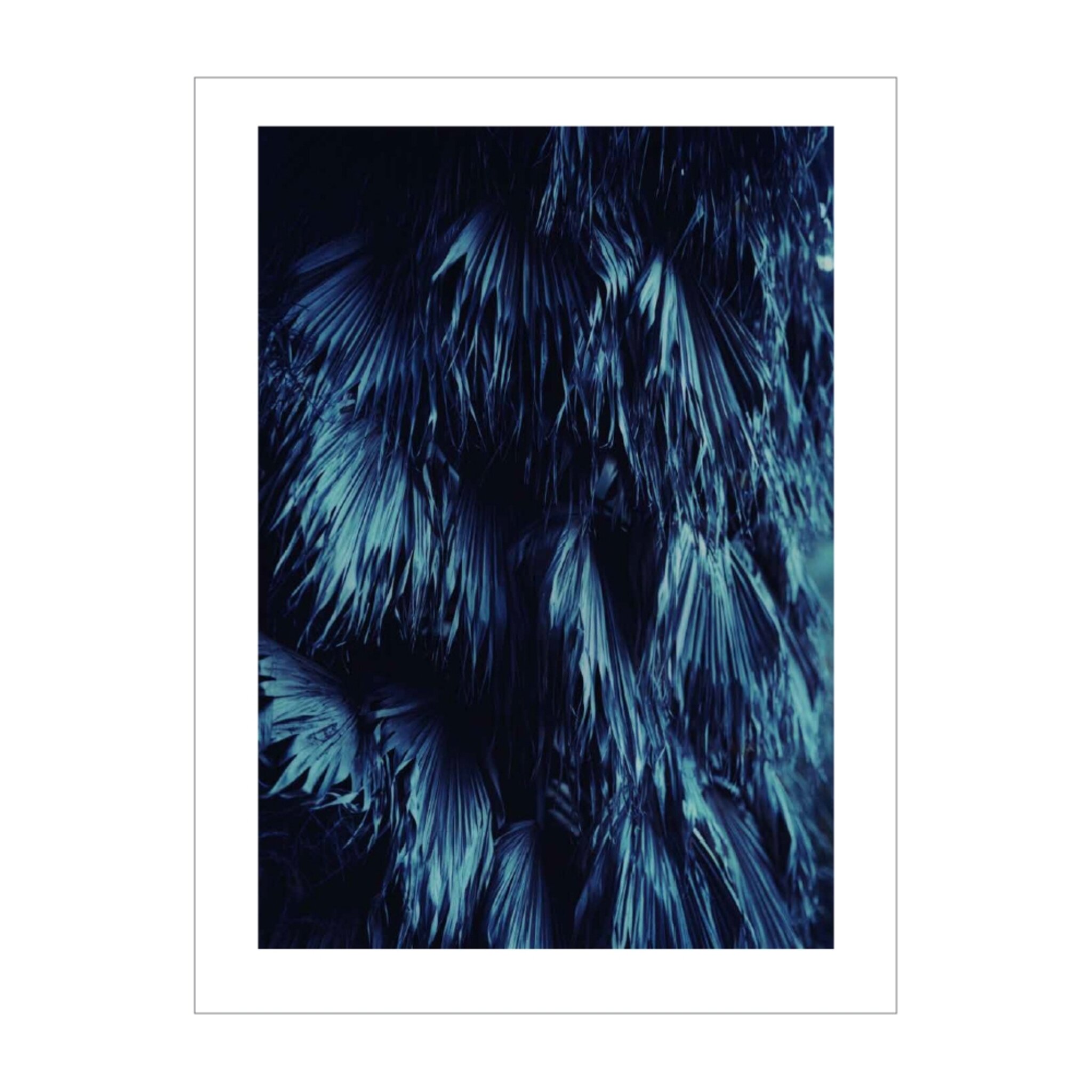 Shades Of Blue #4