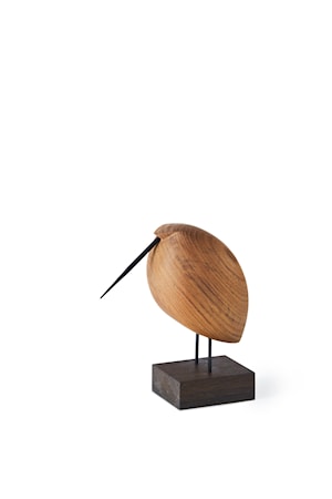Beak Bird Lazy Snipe