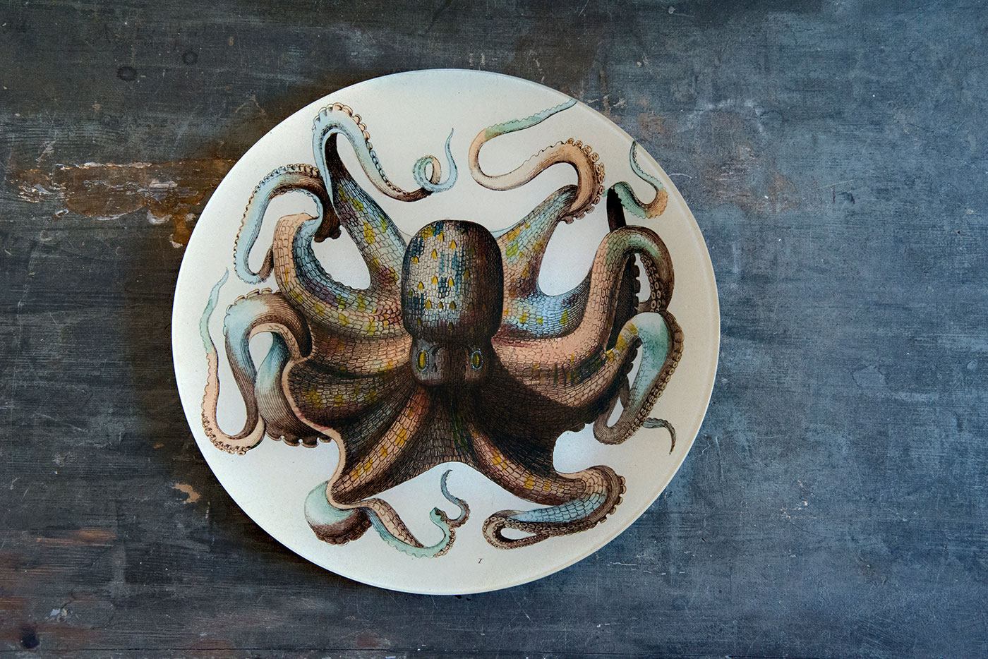 Fat Octopus round