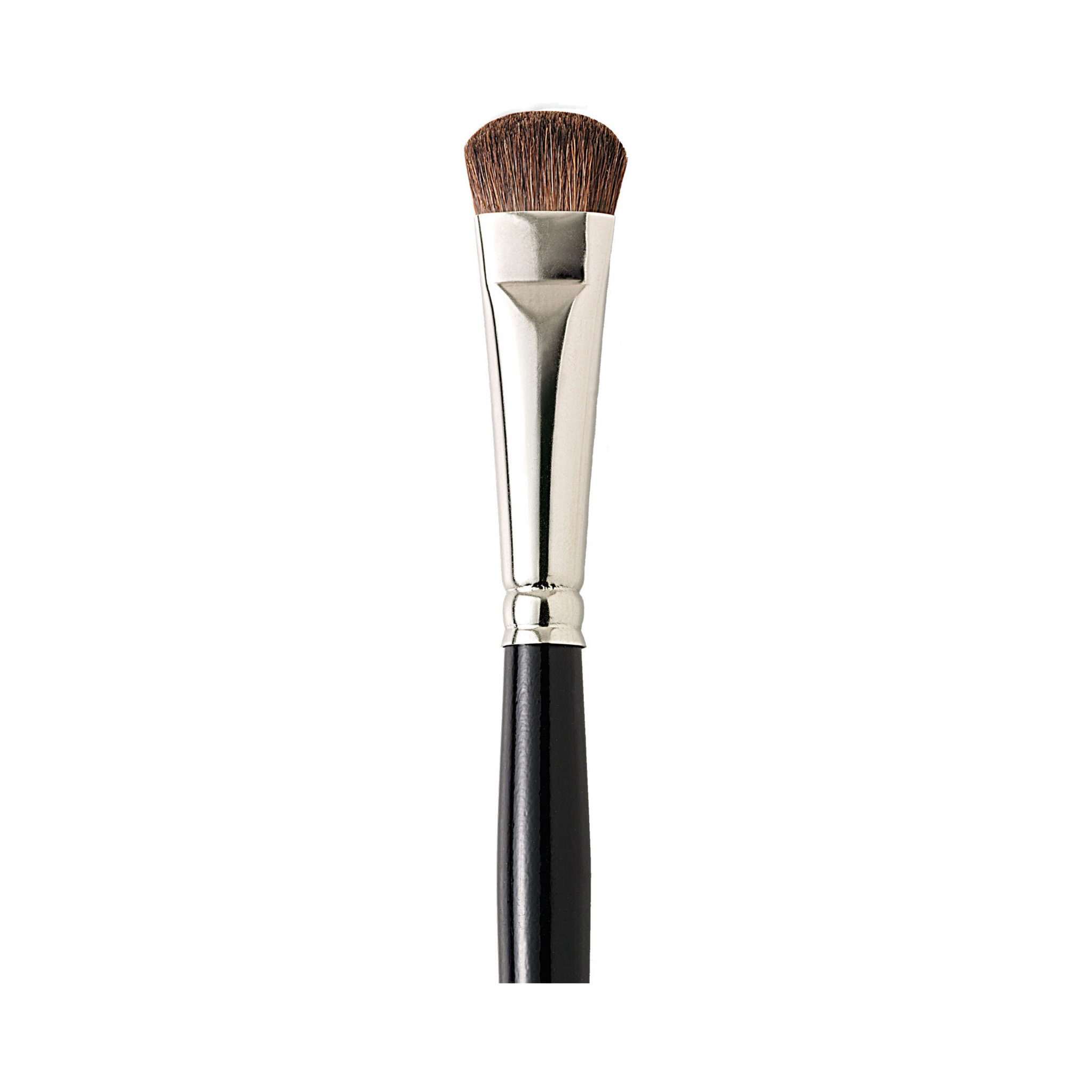 Brush All Over Eye Color