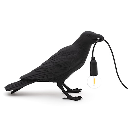 Bird Lamp Waiting Svart